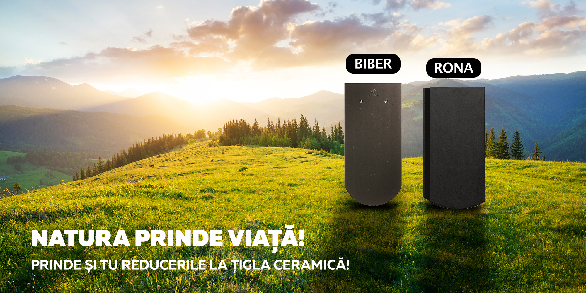 CREATON. Țiglă creată să dea tonul